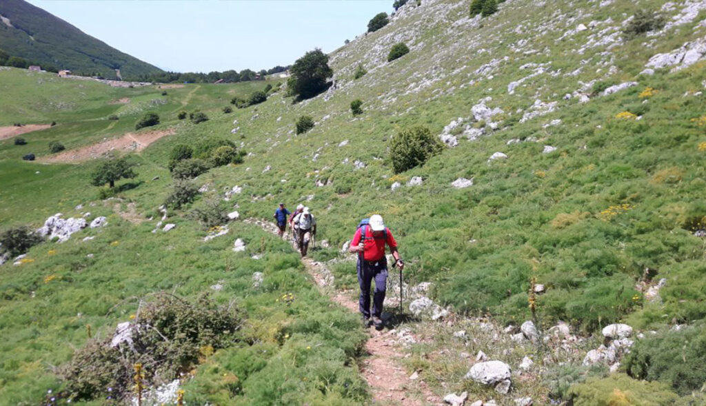 Trekking nel Parco delle Madonie