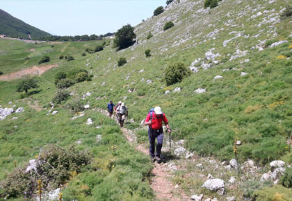 Trekking nel Parco delle Madonie