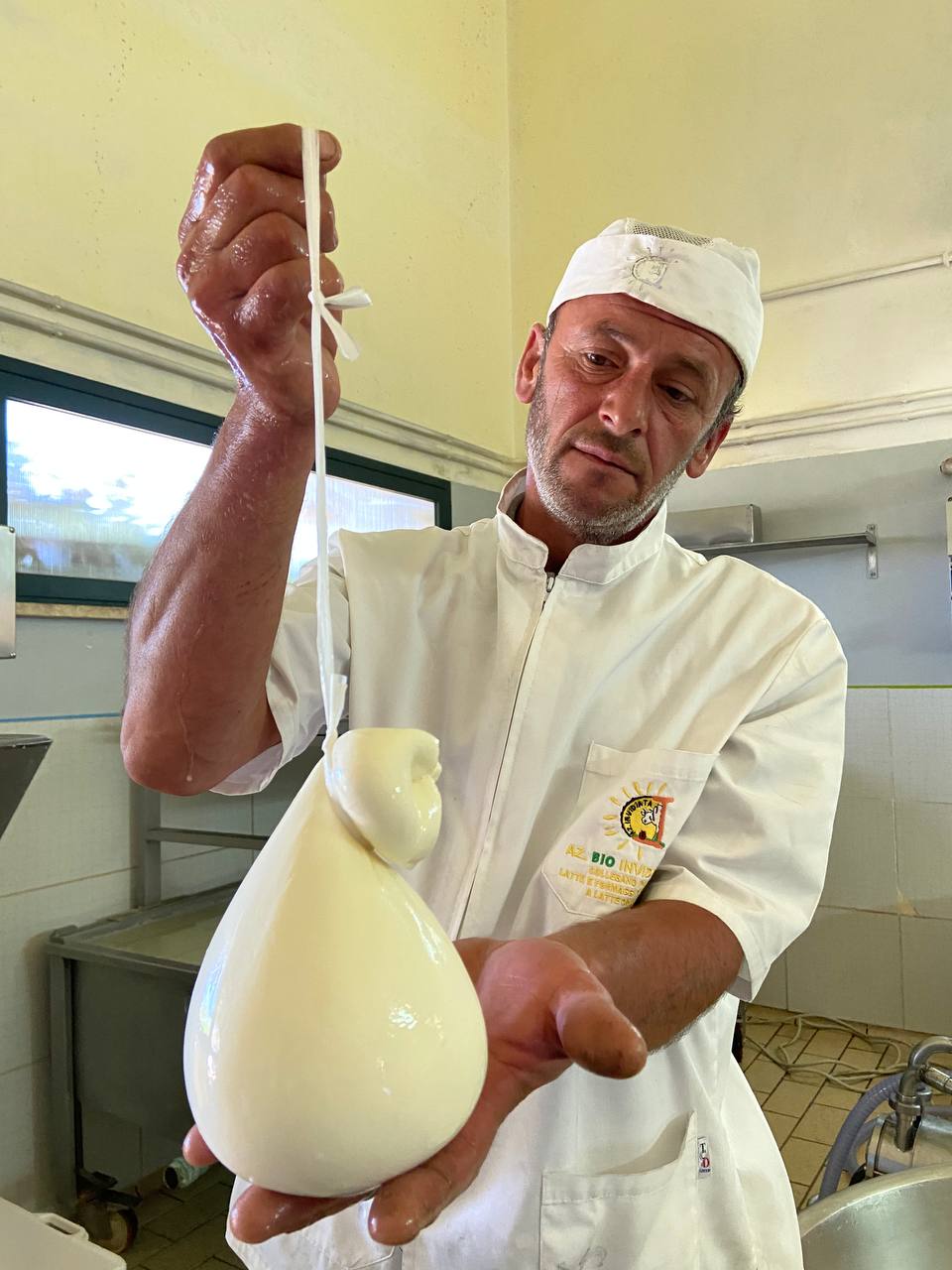 Produzione provola delle Madonie presso l'azienda Agricola Invidiata