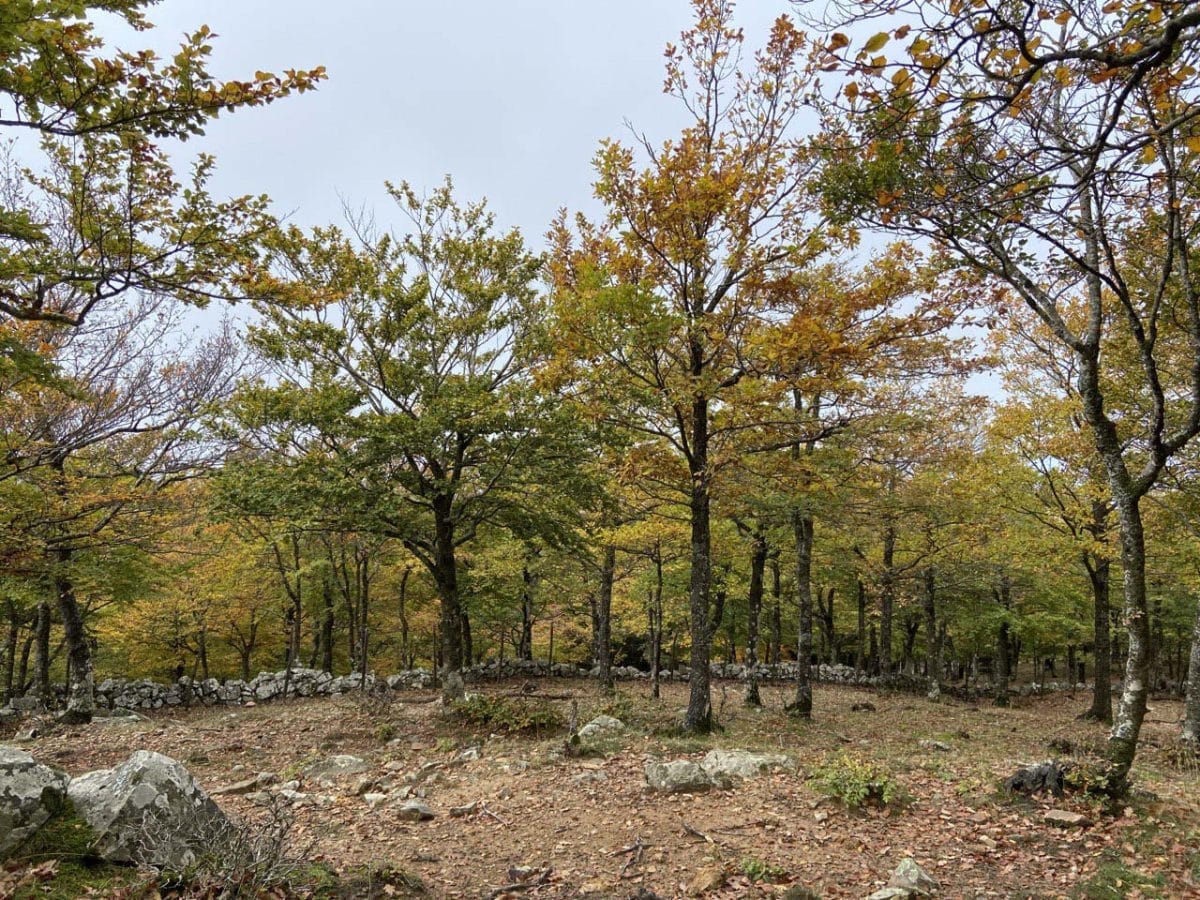 Parco delle Madonie