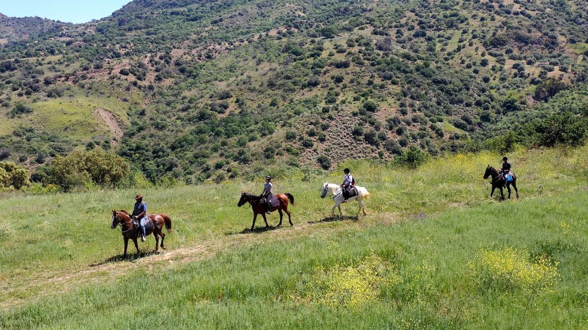 Percorsi a cavallo Cefalù