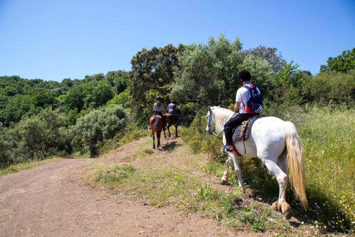 Pasqua - Escursioni a cavallo